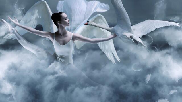 🦢Свобода ... Красотата на лебедите ... (Giovanni Marradi)🦢