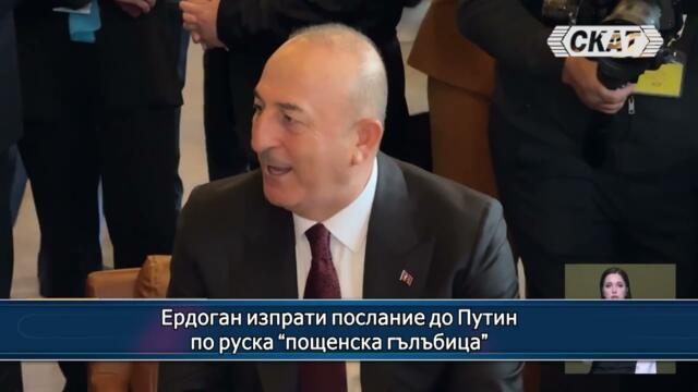 Ердоган изпрати послание до Путин по руска "пощенска гълъбица"