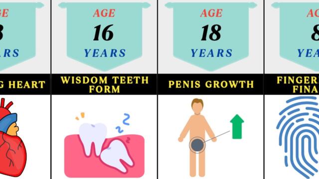 How Your Body Change With Age