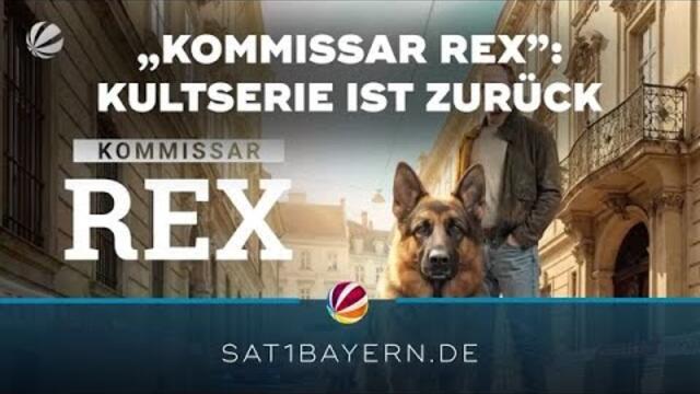 „Kommissar Rex” kehrt zurück: Premiere von Kultserie in München