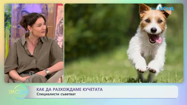 Как да разхождаме кучетата | На кафе | 21 апр. 2026