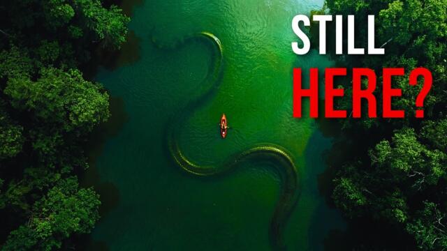 Could Giant Anacondas Still Be Hiding in the Amazon?