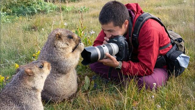 When Animals Surprise Photographer in the Sweetest Way 😂