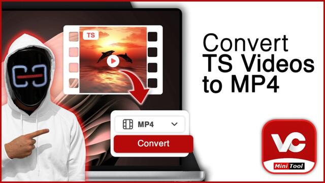 How to Convert TS Videos to MP4! [Best Conversion Tool]
