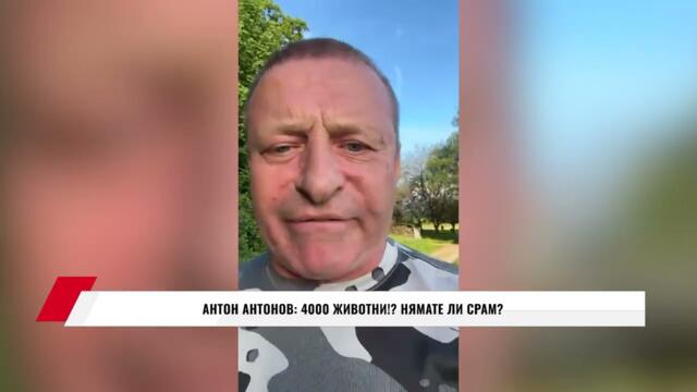 АНТОН АНТОНОВ: 4000 ЖИВОТНИ!? НЯМАТЕ ЛИ СРАМ?