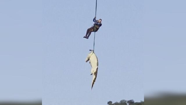 Human Remains Found In Crocodile After Police Airlift It From River