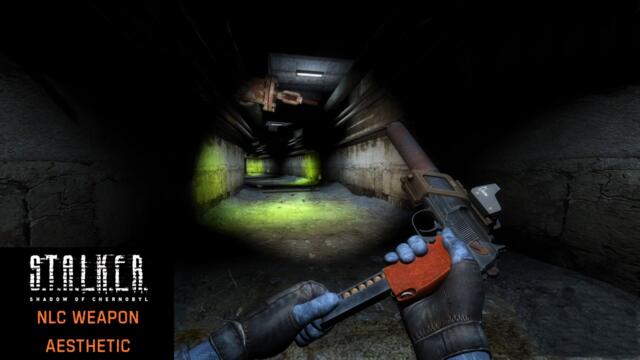 S.T.A.L.K.E.R. Shadow of Chernobyl: NLC Weapon Aesthetic (4K) #03