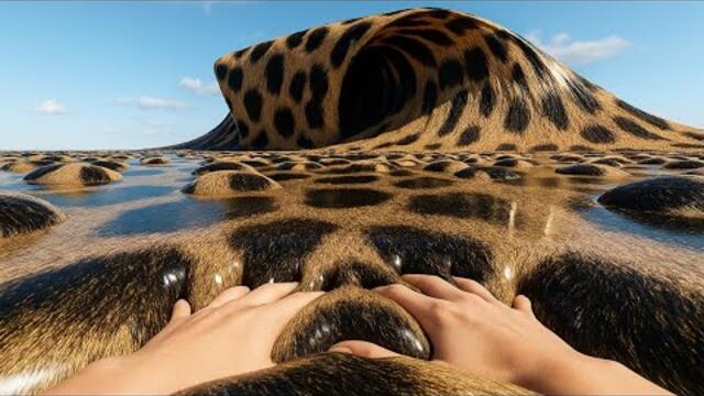 AI ASMR Animal Sea