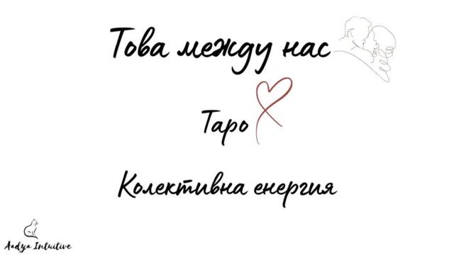 Това между нас 🩷 Таро ✨ Любов 💛 Колективна енергия/Извън времето ✨