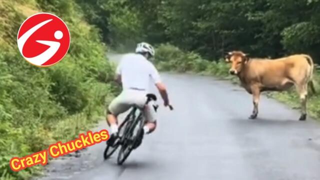 Try Not To Laugh 🤣 Top 100 Funniest Videos Ever 🎬 Pranks, Memes, Falis & Epic Compilation Part ( 5 )