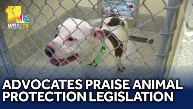 Advocates praise animal protection legislation