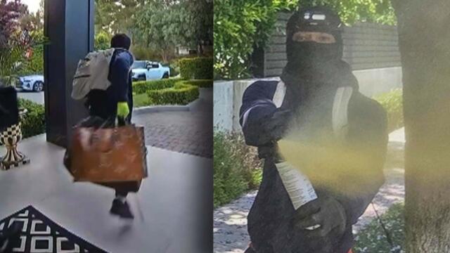 Group Of Burglars Break Into Homes Armed With Bear Spray