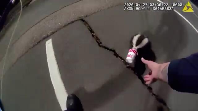 Colorado Police Rescue Skunk Stuck In A Cup
