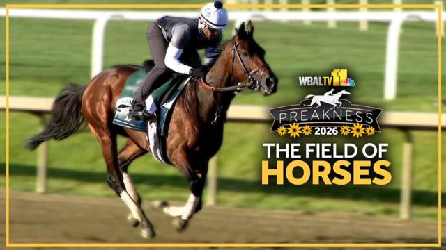 Preakness Stakes 151: A full field of horses