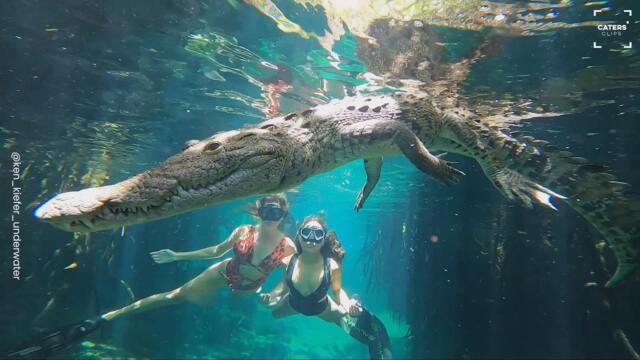 Crocodile Swims In Front Of Two Models During Photoshoot