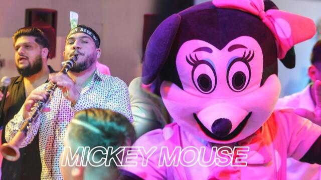 Alpen Minune - ORK.Romaniei -  KOCEKA MICKEY MOUSE 2025
