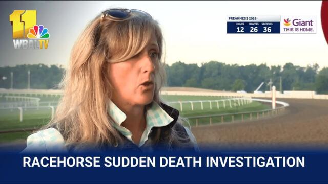 Head veterinarian on steps taken to keep horses healthy