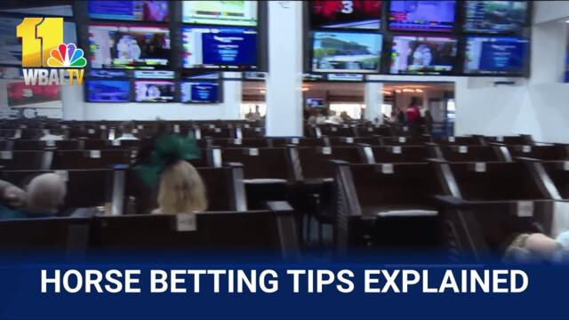 Tips and tricks to making smart bets at the Preakness