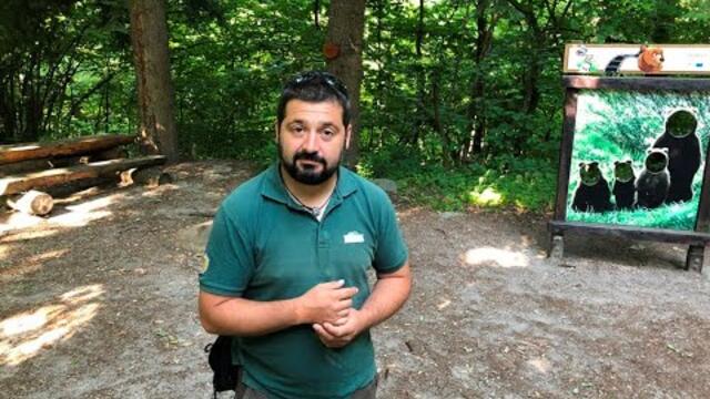 Никола Дойкин: При среща с мечка никога не бягайте и не я гледайте в очите