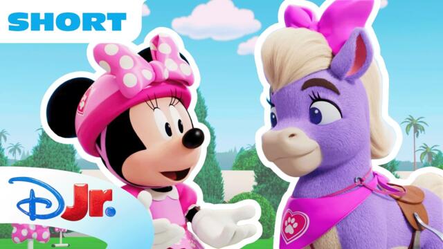 Minnie & Daisy go on a Ride with Two Ponies! 🐴🎀 | Minnie's Bow-Toons: Pet Hotel | @disneyjr
