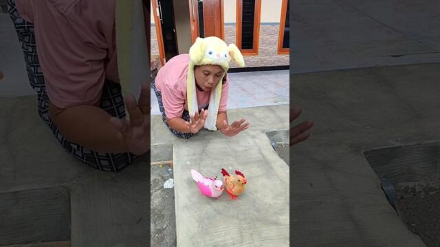 chokow #shorts  #funny #viralvideo