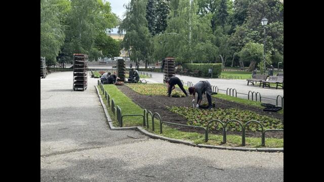 София разцъфва