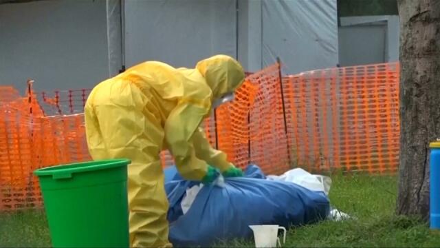 80 Dead After Ebola Virus Found In Central Africa