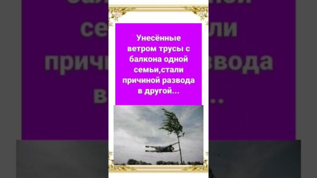 унесеный ветром #юмор #смехпродлеваетжизнь #шуточное #анекдот #смех #сатира