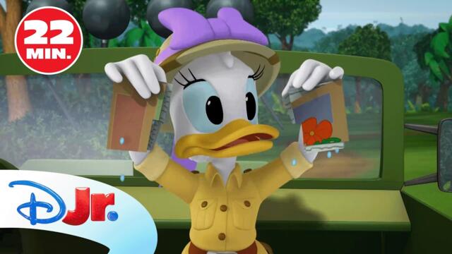 Campamento Mickey y Minnie: Nuevo Episodio Completo “Un safari feliz" 🐵 | @DisneyJuniorES