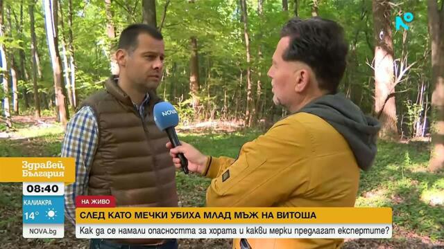 Започват обходи с дронове на Витоша и поставят фотокапани срещу мечките | 19 май 2026