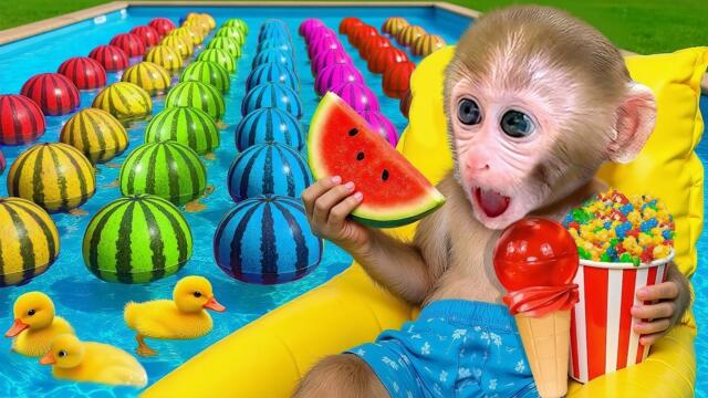 Monkey Baby Bon Bon and the Colorful Watermelon Farm| Nursery Rhymes & Kids Songs |Bobby Kids Songs