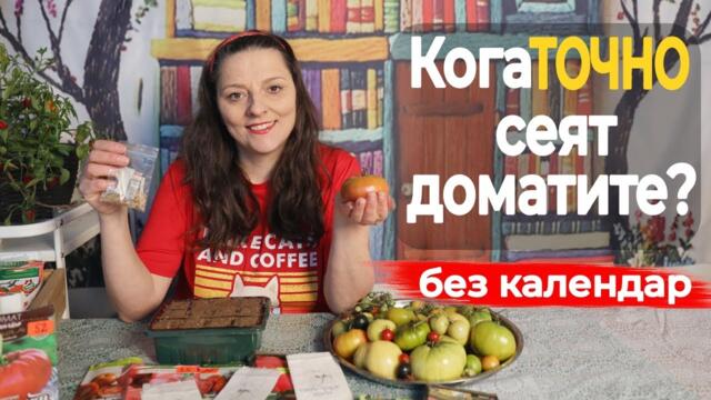 Кога се сеят доматите за разсад – как да сметнем логично, а не по дати