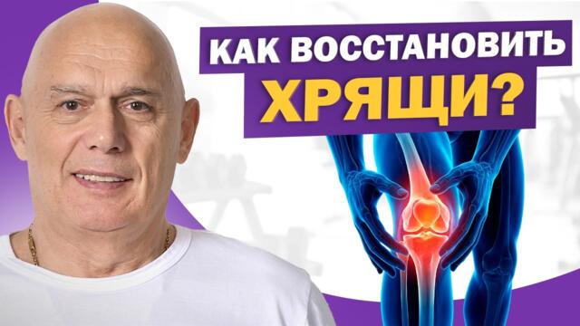 Можно ли восстановить хрящи? Как спасти колени от разрушения