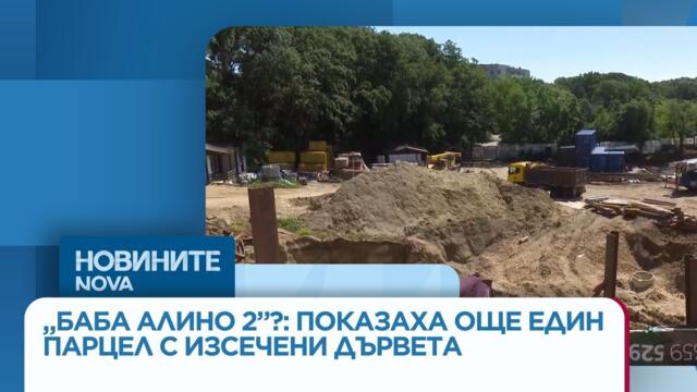 „Баба Алино 2”?: Показаха още един парцел с изсечени дървета | 03 юни 2026