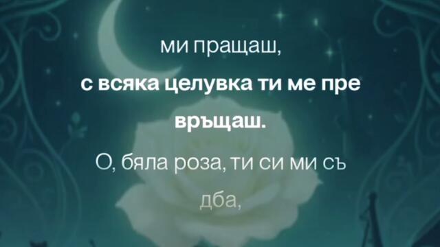 SvetlioFotisYo -О_бяла_роза/O_biala_roza/2k26/