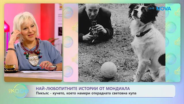 Пикълс: Кучето, което намери открадната световна купа | На кафе | 10 юни 2026
