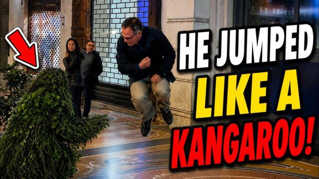 Bushman prank:GRASS STARTED MAKING POLICIES 🌿🤣    #bushmanprank #hilarious #prank