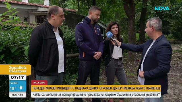 На минути от трагедия: Огромно дърво премаза автомобили пред ресторант до Пловдив | 12 юни 2026