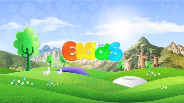 Ekids Brand Identity Presentation 2024