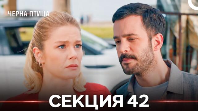 Черна Птица 42 Секция (Български дублаж)