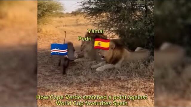 FIFA World Cup 2026 Memes You Can't Skip