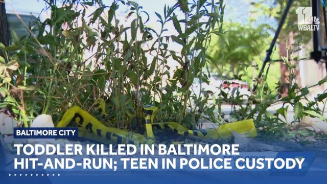 Teen in custody after toddler killed in hit-and-run