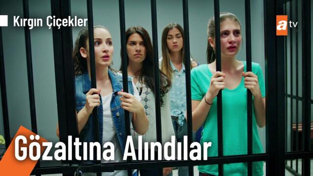 Polis baskın yaptı - Kırgın Çiçekler Kolaj @KirginCicekler