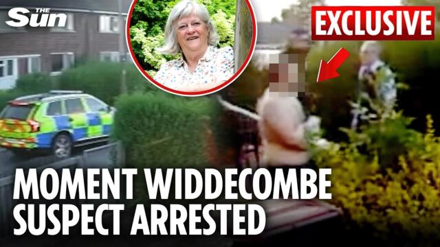 Topless Ann Widdecombe murder suspect arrested as timeline revealed