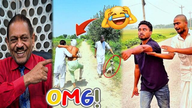 🤣 Try Not To Laugh – Hilarious from Beginning to End | Funny Videos