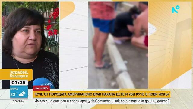 Куче от породата американско були нахапа дете и уби куче в Нови Искър | 17 юли 2026