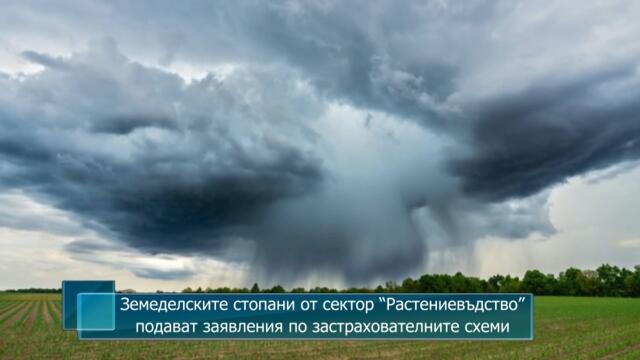 Земеделските стопани от сектор “Растениевъдство” подават заявления по застрахователните схеми