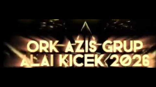 Azis group 2026