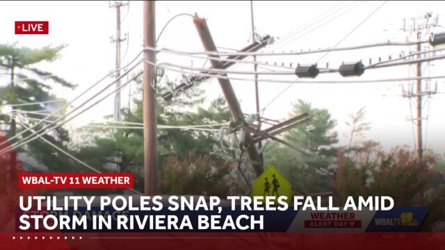 Utility poles snap, trees fall amid storm in Riviera Beach