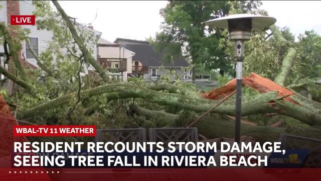Resident recounts storm damage, seeing tree fall